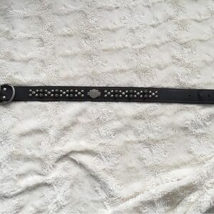 Harley Davidson dog collar